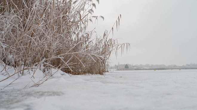Hungary: Hồ Velence đóng băng thu hút nhiều khách tham quan - Ảnh 3.