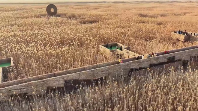 Biến đầm lầy thành không gian nghệ thuật ngoài trời - Ảnh 1.