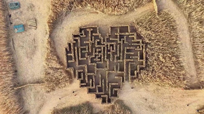 Biến đầm lầy thành không gian nghệ thuật ngoài trời - Ảnh 3.