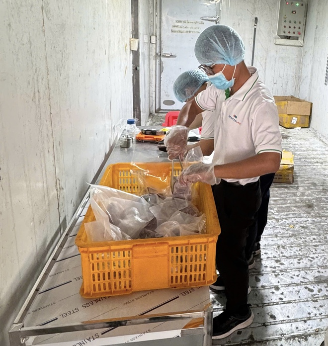 Công an TP, Hồ Chí Minh đột kích hàng loạt "xưởng" phù phép thịt heo thành thịt đà điểu, dê, nai, nhím - Ảnh 10.