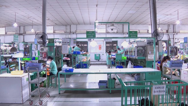 Vươn khơi - Ngày 17/1/2026 |  - Ảnh 6.