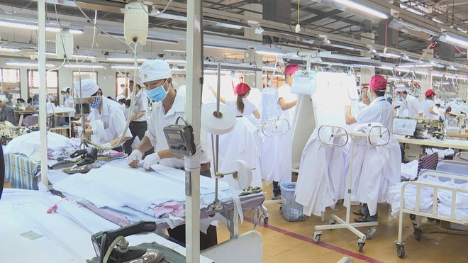 Vươn khơi - Ngày 17/1/2026 |  - Ảnh 1.