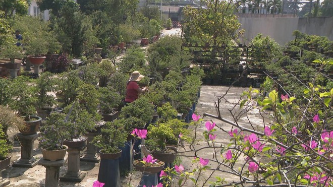 Vươn khơi - Ngày 17/1/2026 |  - Ảnh 3.