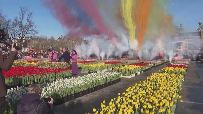 Hà Lan: Hoa tulip khoe sắc mang thông điệp năm mới 2026 - Ảnh 1.