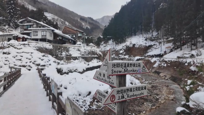 Xem khỉ tắm suối nước nóng ở Jigokudani, Nhật Bản - Ảnh 5.