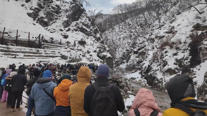 Xem khỉ tắm suối nước nóng ở Jigokudani, Nhật Bản - Ảnh 1.