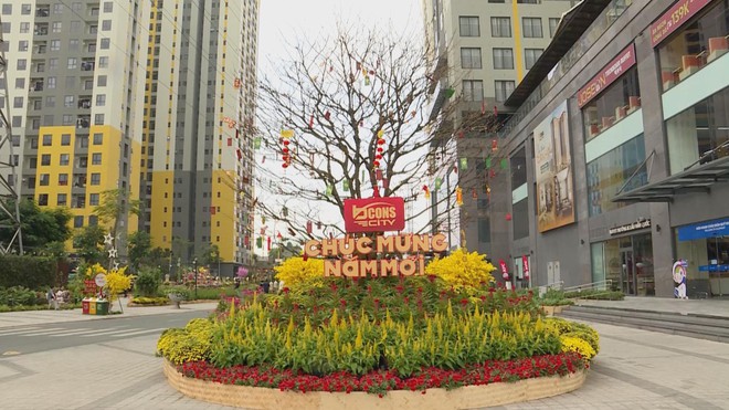 TP.HCM: Check-in đường hoa xuân dài hơn 200 mét tại phường Đông Hòa - Ảnh 4.