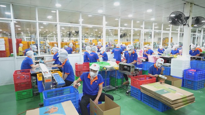 Hàng Việt bình ổn đón sức mua tăng mạnh vào cuối năm - Ảnh 9.