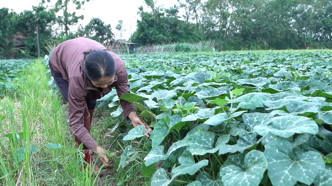 Hồng Ngọc mồ côi cha, mang bệnh hiểm nghèo vẫn vươn lên học giỏi - Ảnh 4.