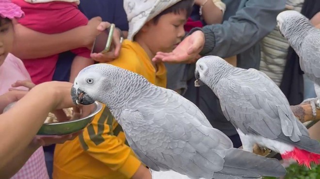 TP. Hồ Chí Minh: Sôi động và đa dạng sắc màu giải trí ngày đầu năm 2026 - Ảnh 1.