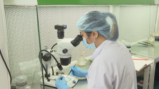 Nhân dân TP. Hồ Chí Minh tin tưởng vào sự thành công của Đại hội Đảng - Ảnh 4.