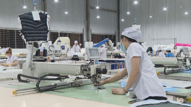 Nhân dân TP. Hồ Chí Minh tin tưởng vào sự thành công của Đại hội Đảng - Ảnh 5.