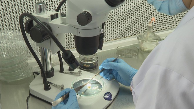 TP. Hồ Chí Minh sẵn sàng thí điểm cơ chế mới, tiên phong đưa nghị quyết Đại hội XIV vào cuộc sống- Ảnh 4.