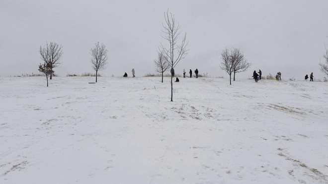 Hơn 180 triệu người Mỹ bị ảnh hưởng vì đợt rét kỷ lục- Ảnh 2.