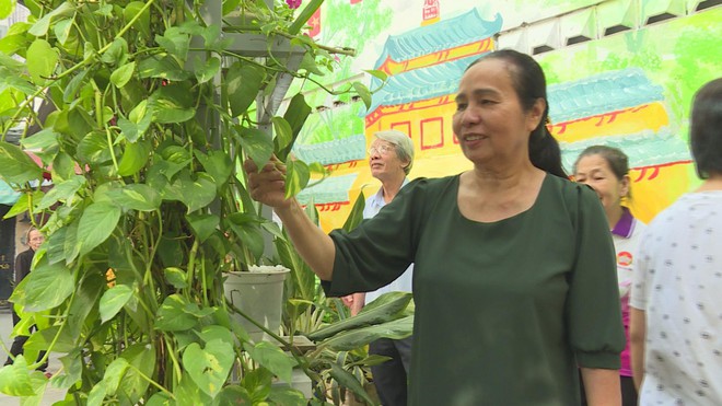 Rực rỡ sắc hoa từ những công trình xanh tại phường Gia Định- Ảnh 7. Rực rỡ sắc hoa từ những công trình xanh tại phường Gia Định- Ảnh 7.