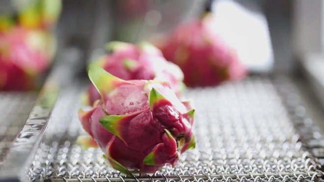 Bộ Nông nghiệp và Môi trường tổng kết ngành năm 2025 và định hướng năm 2026 - Ảnh 4.