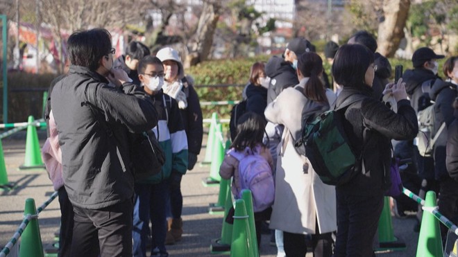 Trung Quốc cho hồi hương hai gấu trúc sau căng thẳng với Nhật Bản - Ảnh 2.