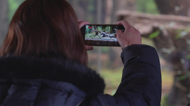 Trung Quốc cho hồi hương hai gấu trúc sau căng thẳng với Nhật Bản - Ảnh 1.