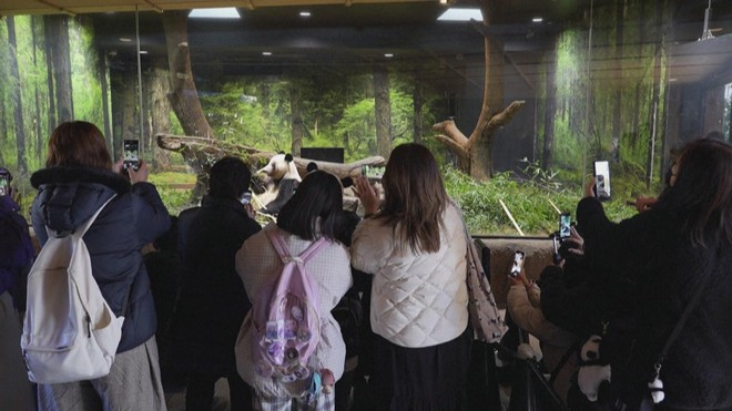 Trung Quốc cho hồi hương hai gấu trúc sau căng thẳng với Nhật Bản - Ảnh 3.