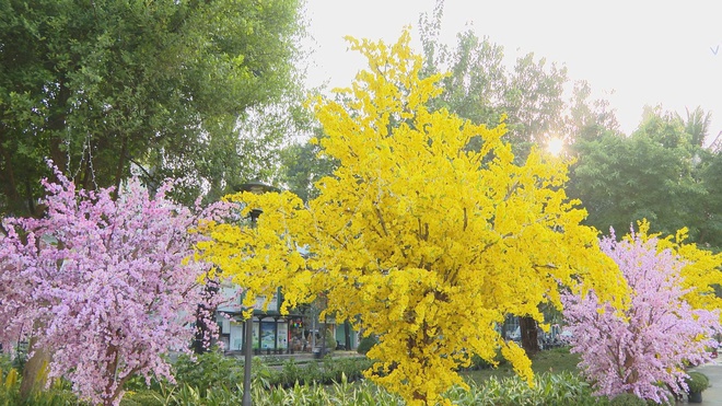 TP. Hồ Chí Minh: Đánh thức “đất vàng” bỏ hoang thành điểm hẹn xanh ngát - Ảnh 4.