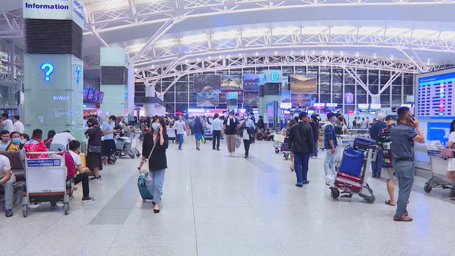 TP. Hồ Chí Minh: Tăng cường giám sát, ngăn chặn nguy cơ xâm nhập dịch bệnh do virus Nipah - Ảnh 5.