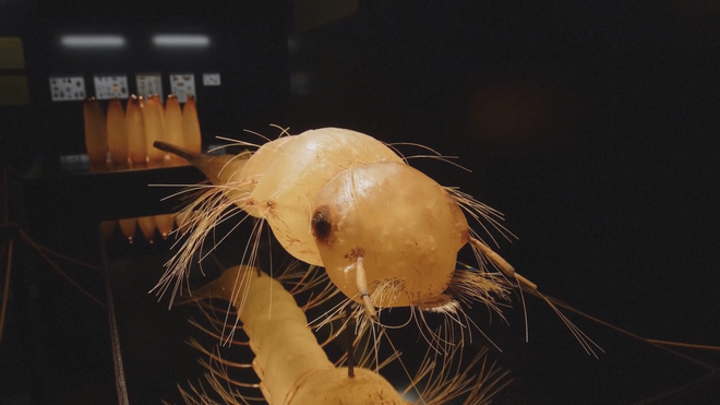 Choáng ngợp trước những con côn trùng "khổng lồ" cao 5 mét, nặng cả tấn - Ảnh 3.