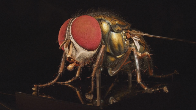 Choáng ngợp trước những con côn trùng "khổng lồ" cao 5 mét, nặng cả tấn - Ảnh 2.