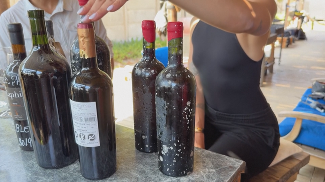 Chile: Đưa rượu vang xuống "ngủ đông" dưới đáy Thái Bình Dương để tìm hương vị lạ - Ảnh 3.