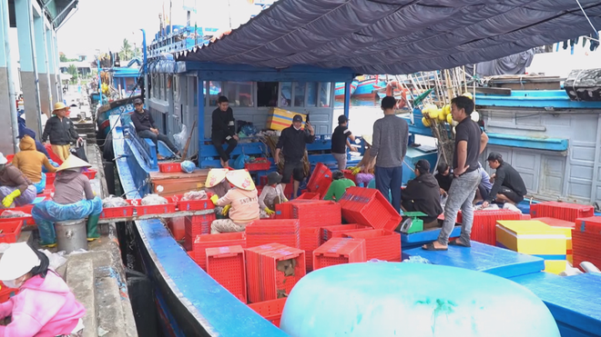 60 Giây ngày 29/1/2026 | An Giang: Nông dân trồng khoai mỡ lãi cao nhờ được bao tiêu đầu ra- Ảnh 3.