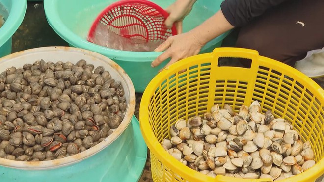 Thị trường hải sản: Sức mua và giá cả đều tăng - Ảnh 3.