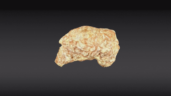 Brazil: Phát hiện hộp sọ hóa thạch bò sát tí hon - Ảnh 4.