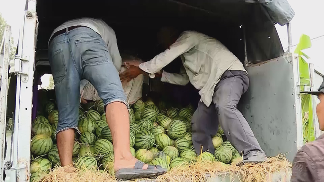 60 Giây ngày 30/1/2026 | Chợ Tết vắng khách, tiểu thương nhập hàng cầm chừng - Ảnh 5.