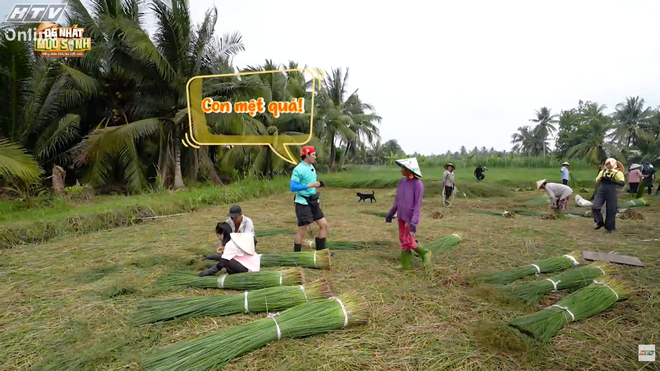 Đệ nhất mưu sinh - 20g30 tối nay (30/1) trên HTV7 - Ảnh 3.