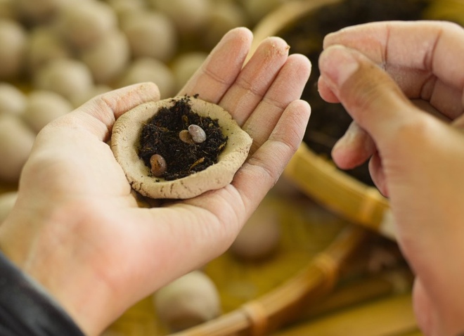 THTT Đại nhạc hội "Giữa tán rừng xanh" - 19g ngày 1/2 trên HTV7 - Ảnh 5.