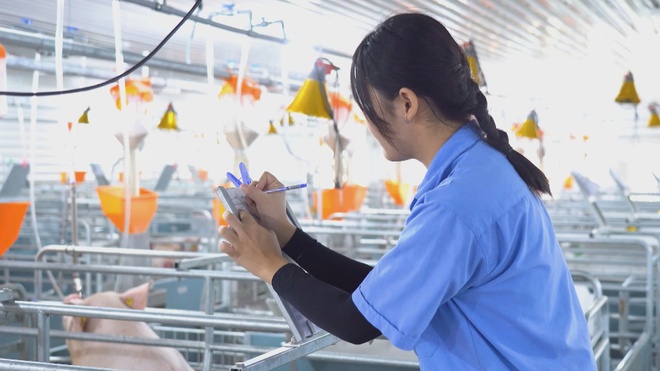 Cảnh báo: Đừng vội mua thịt trữ Tết nếu bạn chưa đọc bài viết này!  - Ảnh 1.