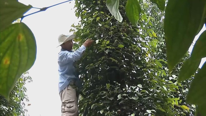 Doanh nghiệp chủ động chuyển đổi xanh, phát triển bền vững- Ảnh 3.