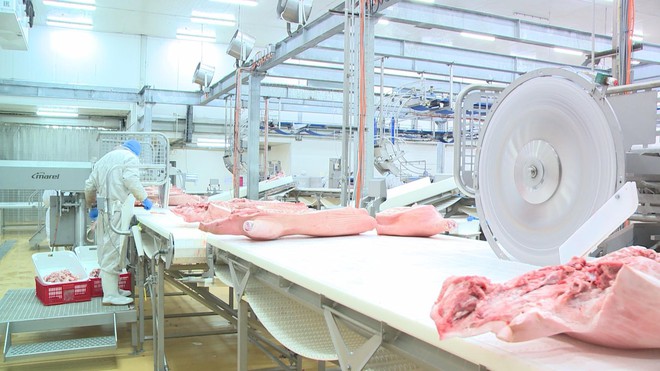 Doanh nghiệp tăng tốc sản xuất ngay đầu năm 2026 - Ảnh 3.