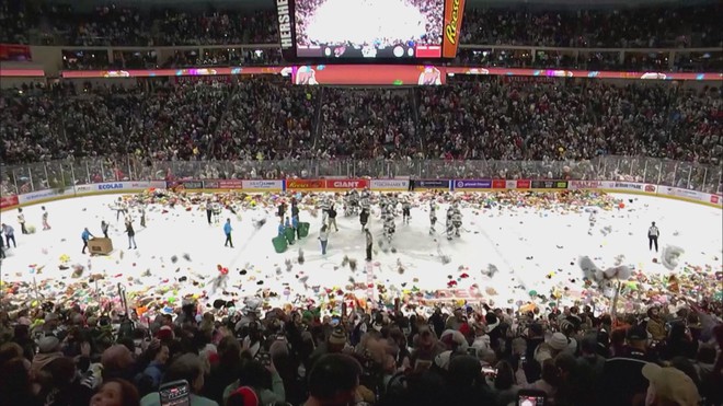 Mỹ: Hàng chục ngàn con gấu bông đổ xuống sân băng để gây quỹ cộng đồng- Ảnh 1. Mỹ: Hàng chục ngàn con gấu bông đổ xuống sân băng để gây quỹ cộng đồng- Ảnh 1.