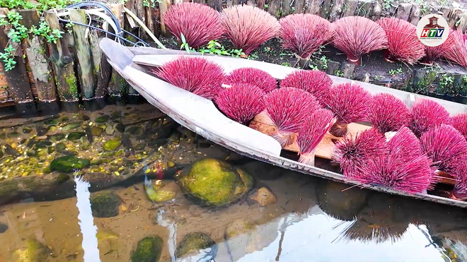 Độc đáo Nhà bên suối - HTV Thành phố không ngủ - Ảnh 3.