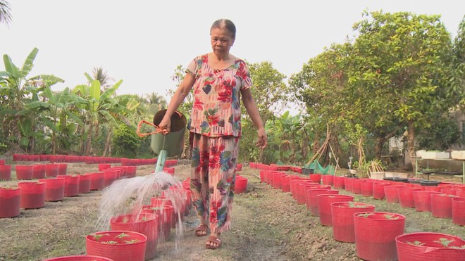 60 Giây ngày 7/1/2026 | Giới trẻ TP. Hồ Chí Minh háo hức đón tết sớm, check-in vườn hoa tết tại công viên Ba Son - Ảnh 4.