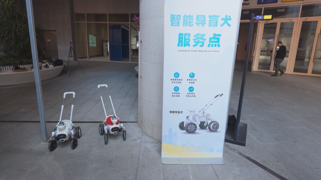 Robot tích hợp A.I. hỗ trợ người khiếm thị đi metro - Ảnh 2.