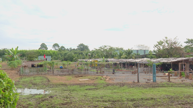 Du lịch canh nông tạo làn gió mới cho du lịch TP. Hồ Chí Minh- Ảnh 6. Du lịch canh nông tạo làn gió mới cho du lịch TP. Hồ Chí Minh- Ảnh 6.