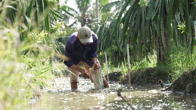 Trung Quý: Tuổi thơ bắt ốc cùng cha, dành từng đồng chữa bệnh cho mẹ - Ảnh 4.