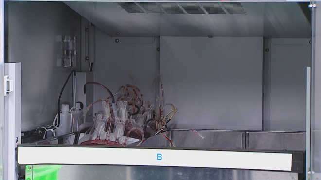 60 Giây ngày 8/1/2026 | Sẽ tháo dỡ 108 trường hợp xây dựng, san lấp chiến sông, kênh rạch- Ảnh 4. 60 Giây ngày 8/1/2026 | Sẽ tháo dỡ 108 trường hợp xây dựng, san lấp chiến sông, kênh rạch- Ảnh 4.