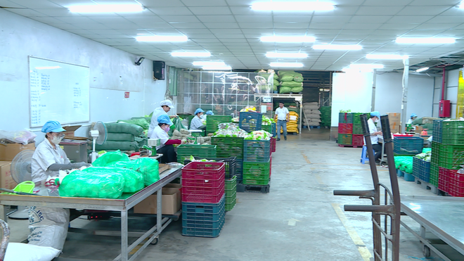 TP. Hồ Chí Minh: Doanh nghiệp chủ động tăng lương, "giữ chân" người lao động mùa cao điểm Tết - Ảnh 1.