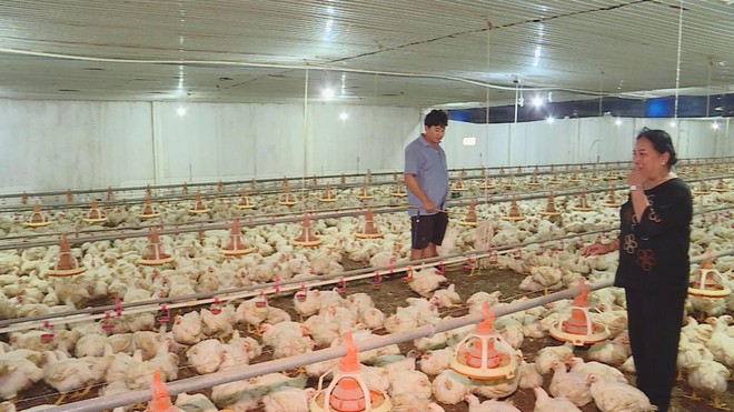 TP. Hồ Chí Minh: Hơn 1.000 trang trại hoạt động hiệu quả | Vươn Khơi - Ngày 15/10/2026 - Ảnh 1.