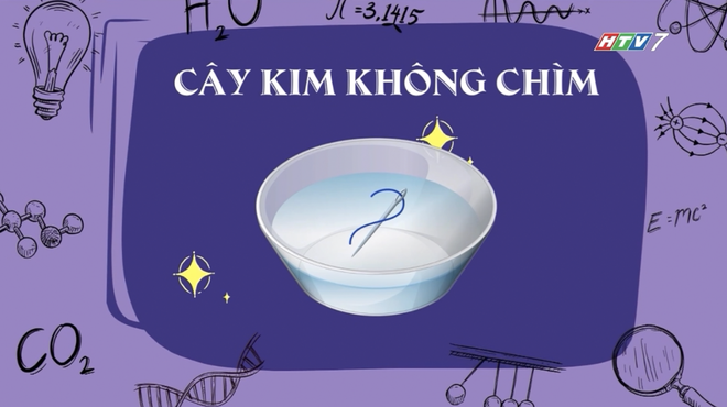 Góc nhỏ kỳ diệu - 15g ngày 20/10 trên HTV7 - Ảnh 2.