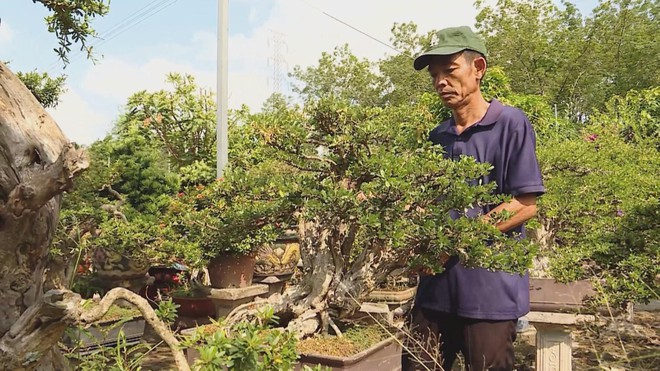 Chung tay thực hiện mục tiêu khám sức khỏe toàn dân | Vươn Khơi - Ngày 22/10/2026- Ảnh 3.