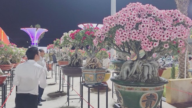 Chung tay thực hiện mục tiêu khám sức khỏe toàn dân | Vươn Khơi - Ngày 22/10/2026- Ảnh 4.