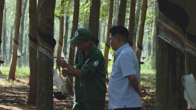 Chung tay thực hiện mục tiêu khám sức khỏe toàn dân | Vươn Khơi - Ngày 22/10/2026- Ảnh 5.